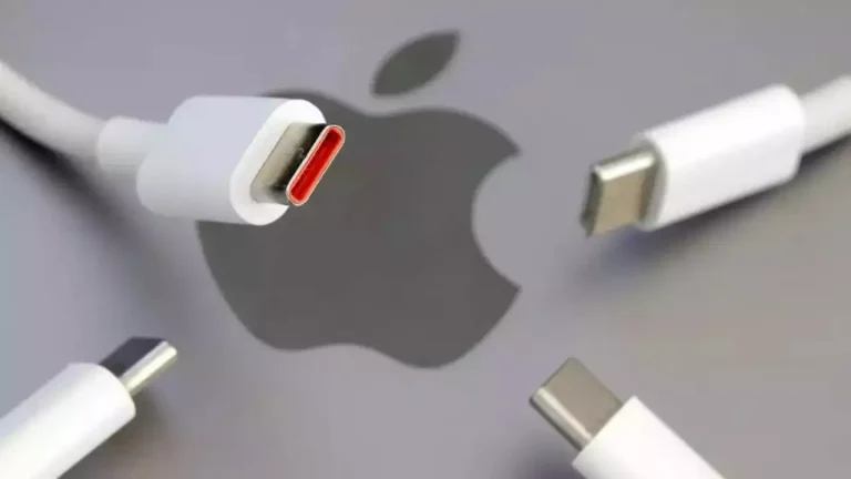 hindistan usb-c   apple'