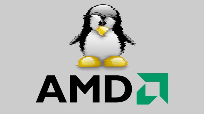 AMD Linux