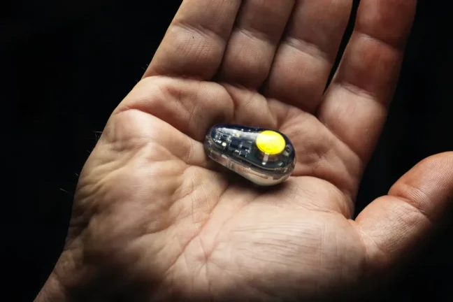 Bluetooth yem izleyici