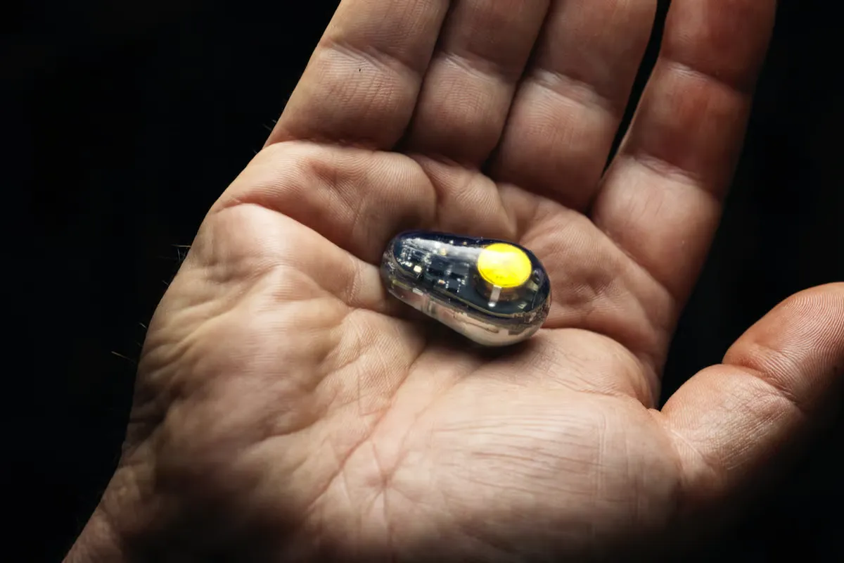 Bluetooth yem izleyici balık tutmayı kolaylaştırıyor