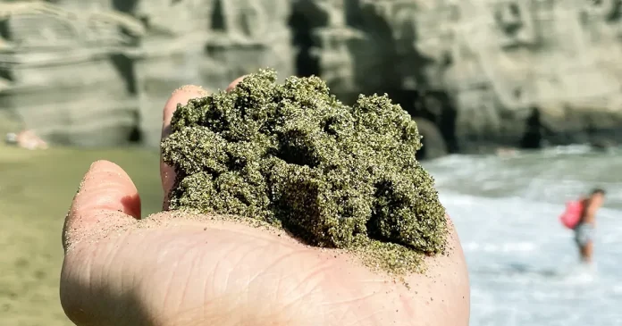 Yeşil plajlar