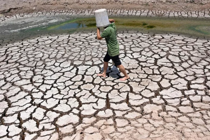 İklim etkileri yurt içi