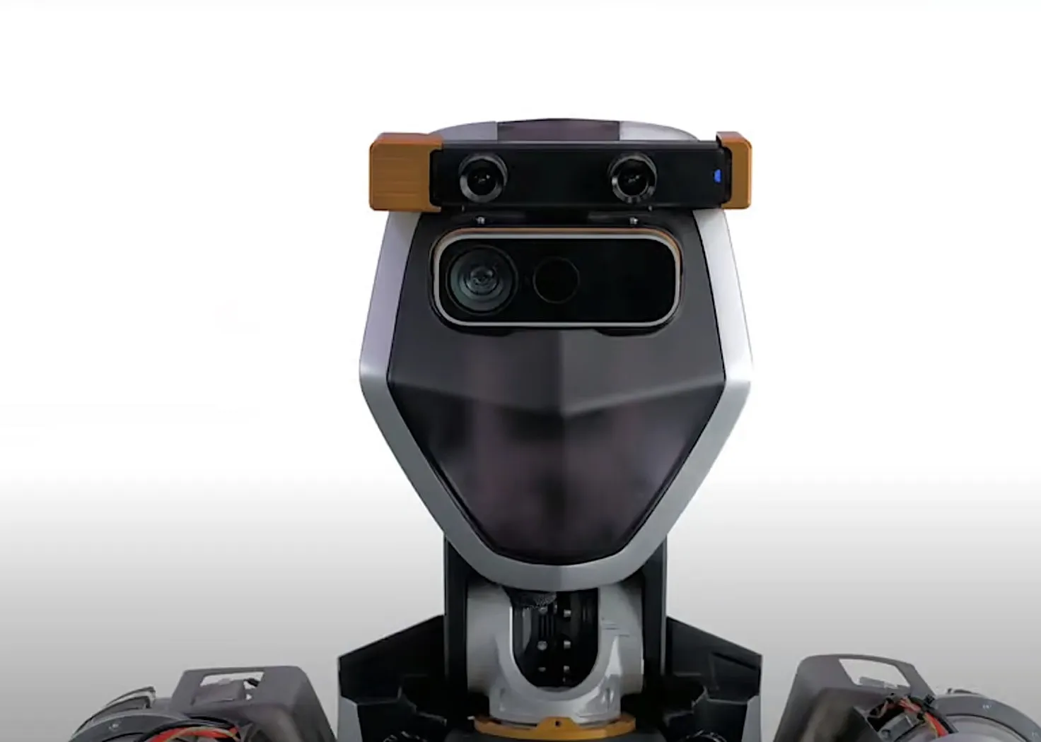 Yapay zeka 24 saatte öğreniyor!