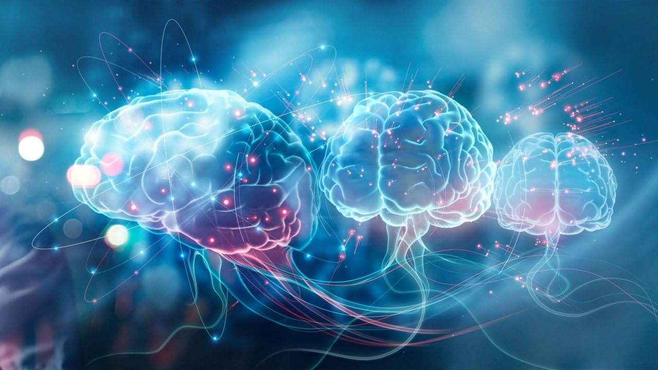 Google ve Harvard, beynin gizemli haritasını çizdi