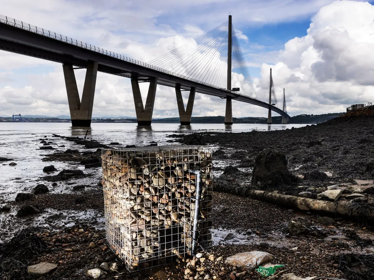 Su bazlı ısı pompası yüzde 400 dönüşüm sağlıyor!