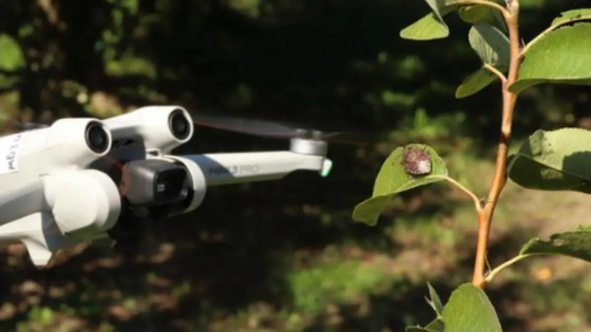 Yapay zekalı dronlar çiftçilere destek oluyor!