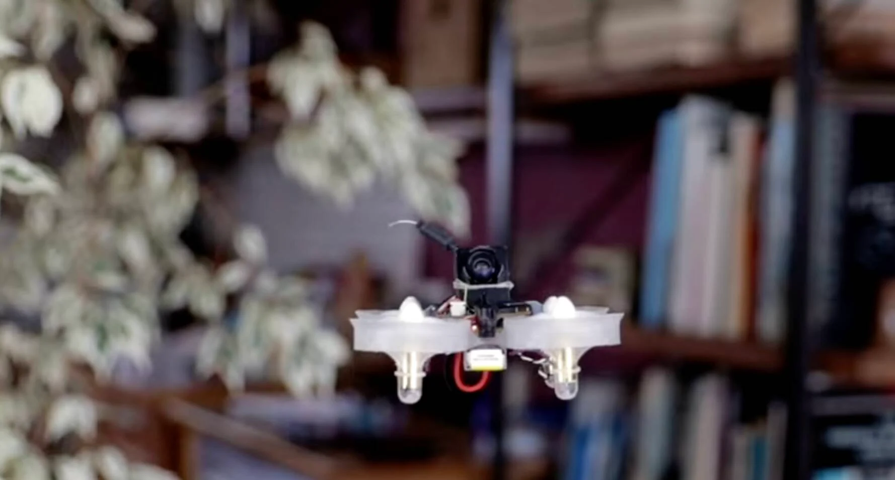 Güneşi gördükçe uçuyor!