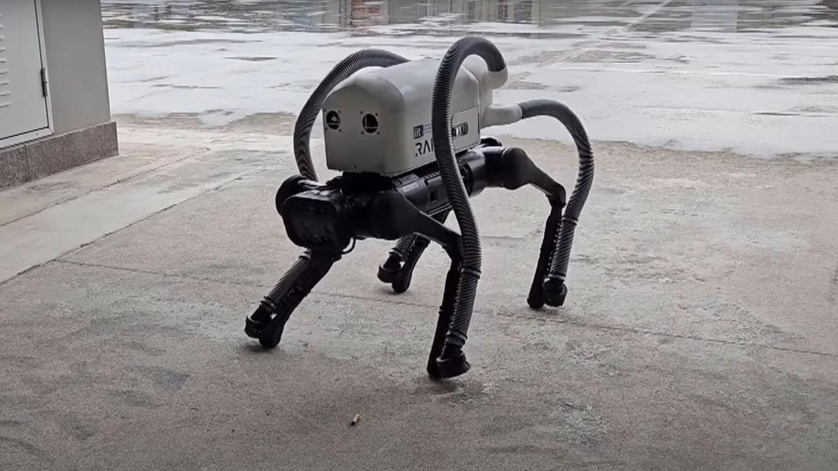 Vakumlu robot köpek temizlik yapıyor