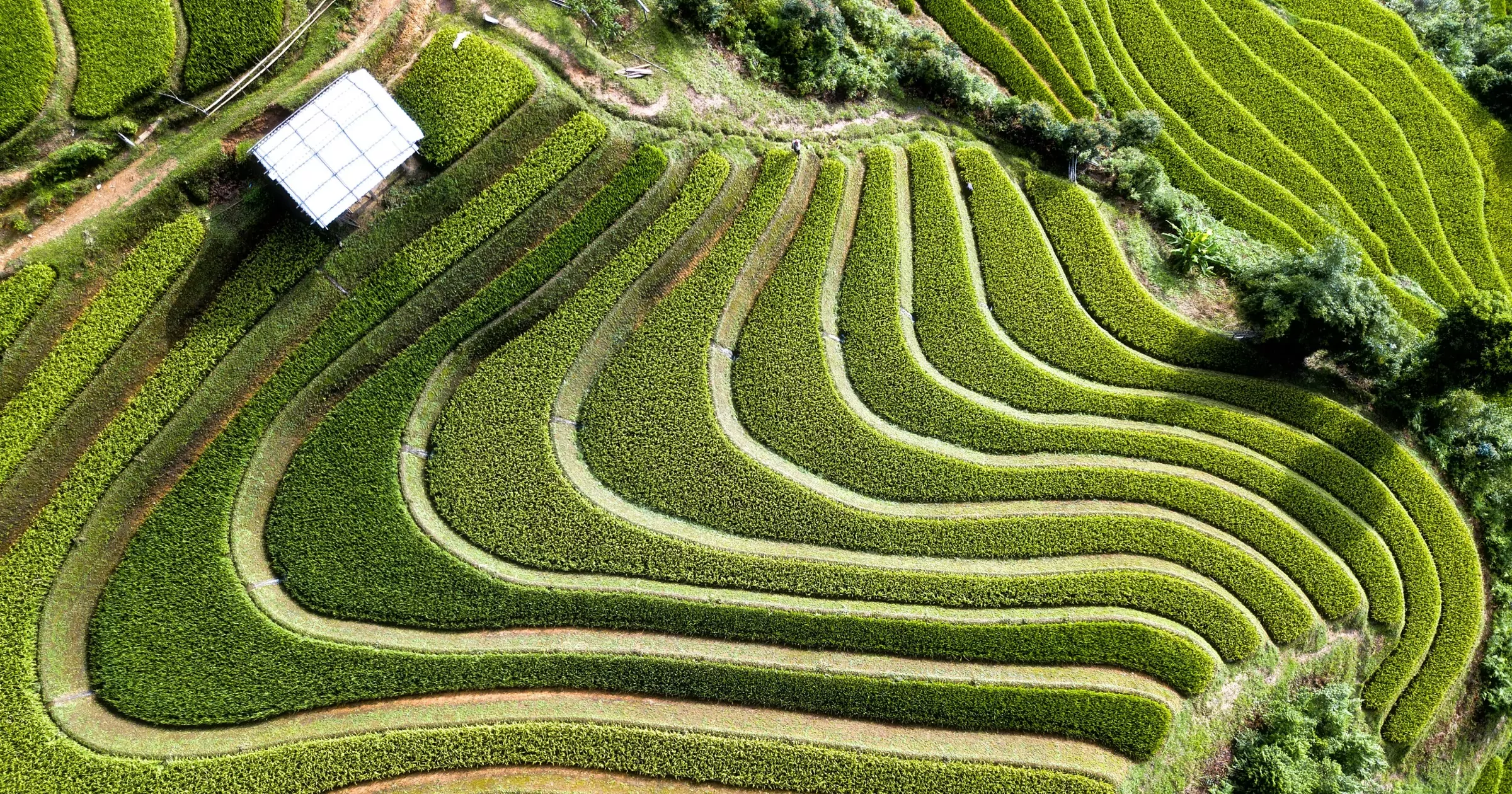 Dijital dönüşümde son trendler ve iş dünyasına etkileri