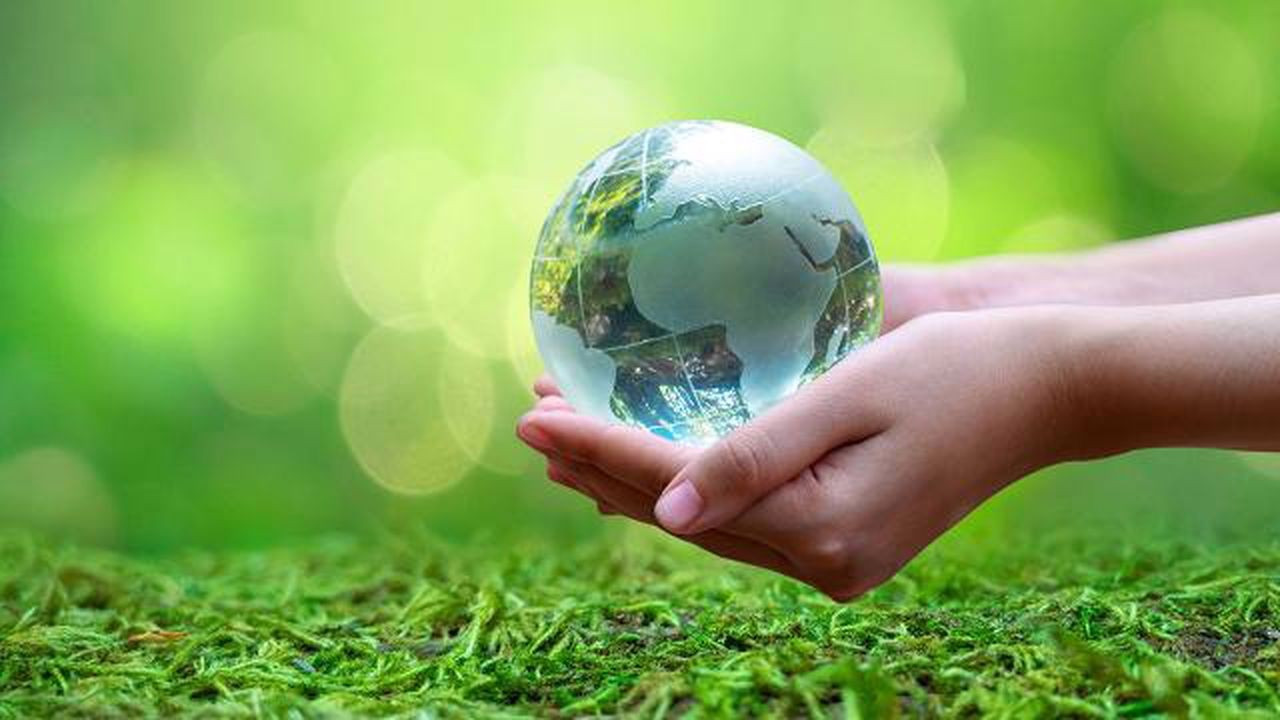 Antarktika’da yeşillik artıyor! Peki neden?