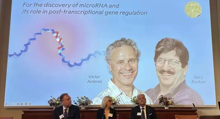 2024 Nobel Ödülleri sahiplerini bulacak.