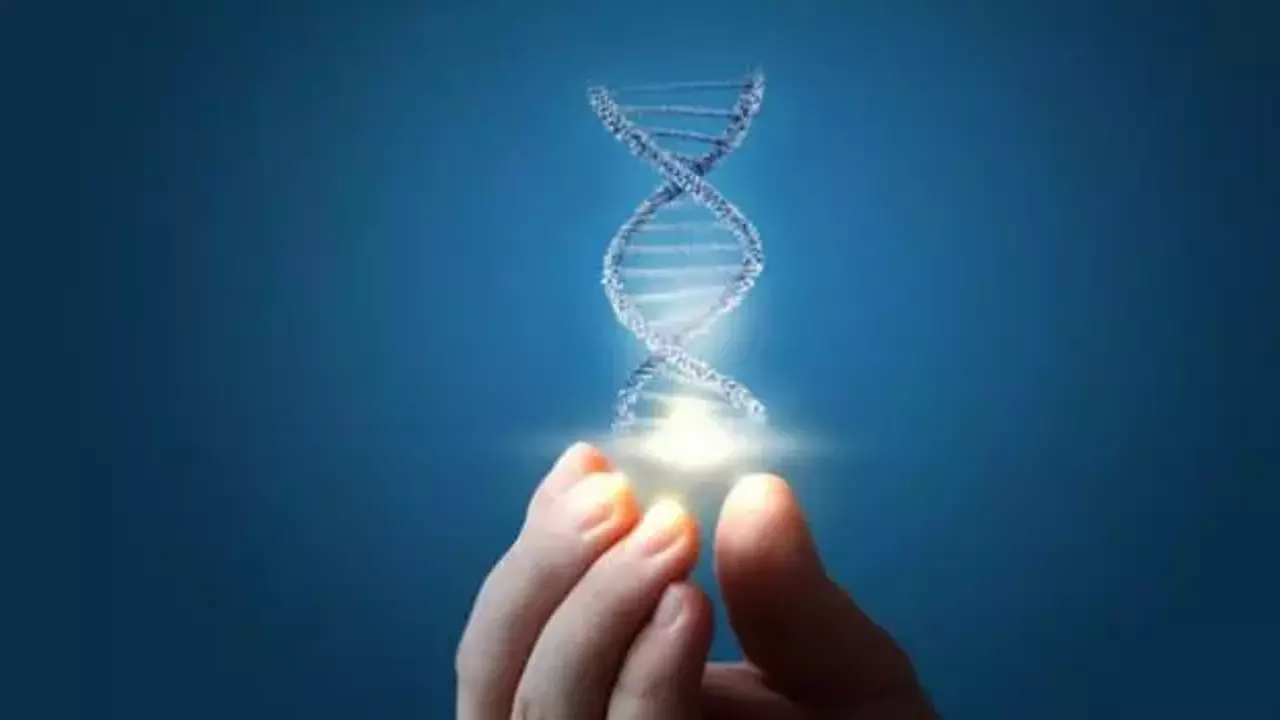 Yaşam süresini yüzde 30 uzatan bir gen bulundu!