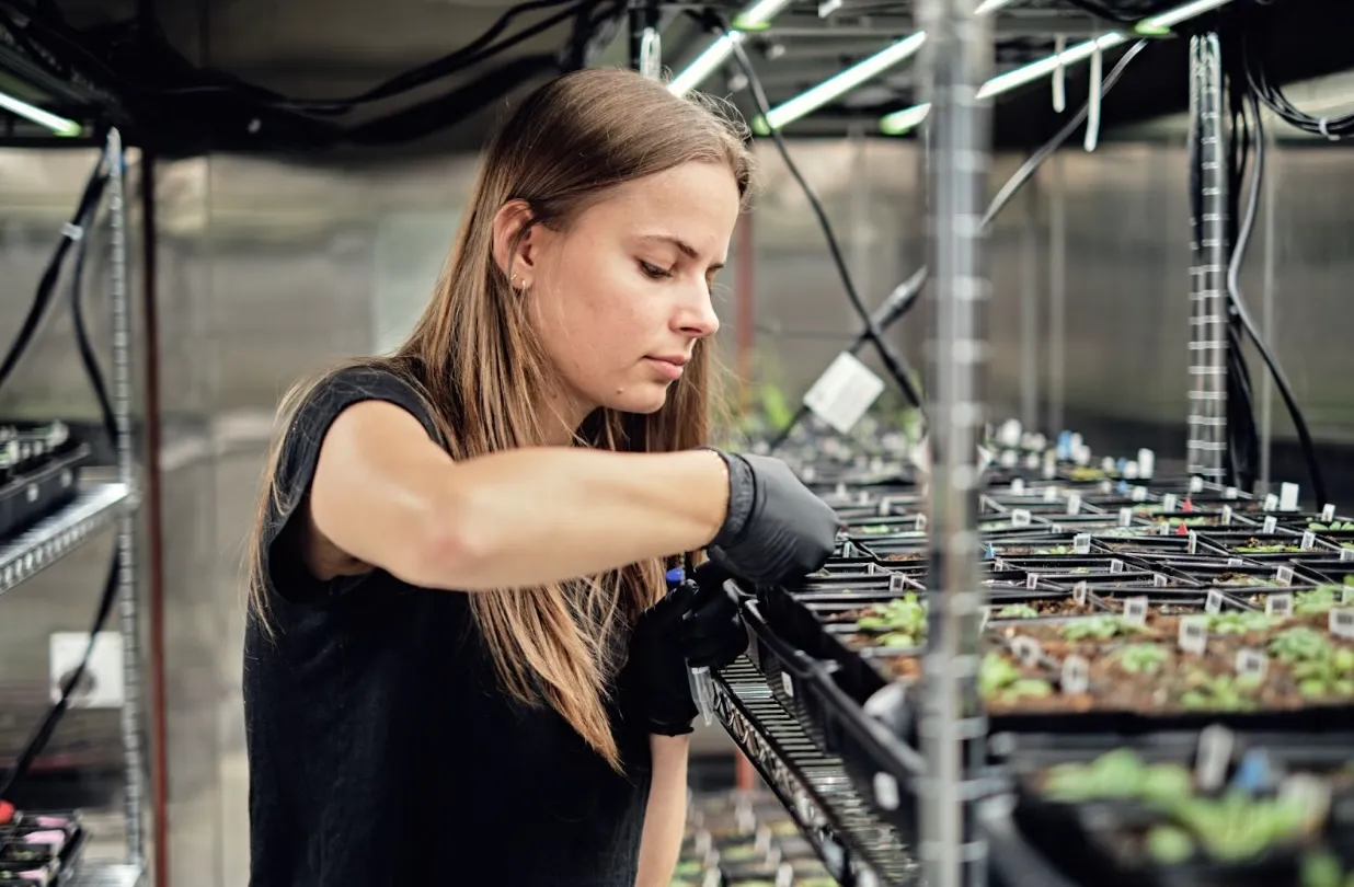 Google’ın yeni girişimi Heritable Agriculture, tarıma yapay zeka getirecek!