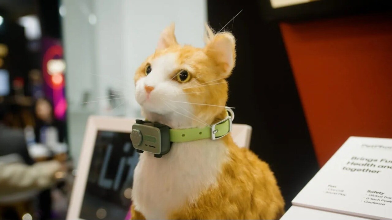 Dünyanın ilk evcil hayvan telefonu görücüye çıktı!