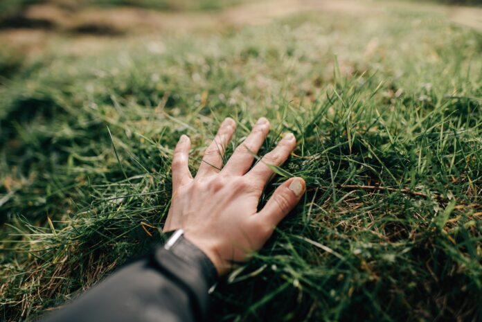 Touch Grass ekran süresi
