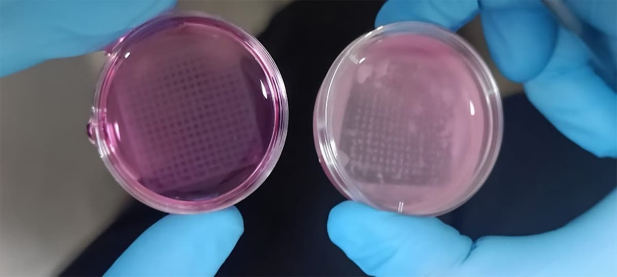 3D baskılı deri hayvan deneylerini önleyecek