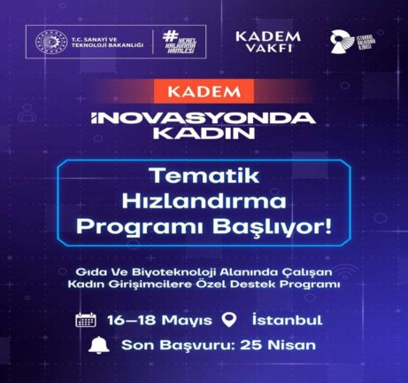 Tematik Hızlandırma Programı