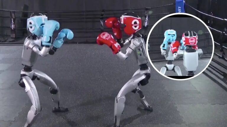 Robot boksu