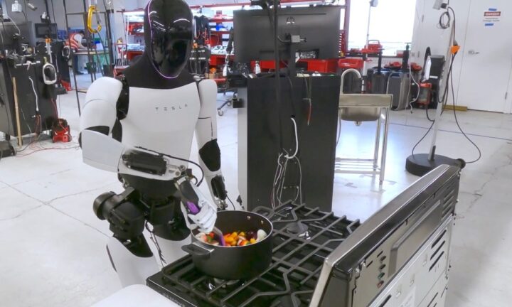 Tesla insansı robot