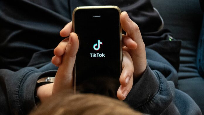 TikTok Avrupa kullanıcı verileri