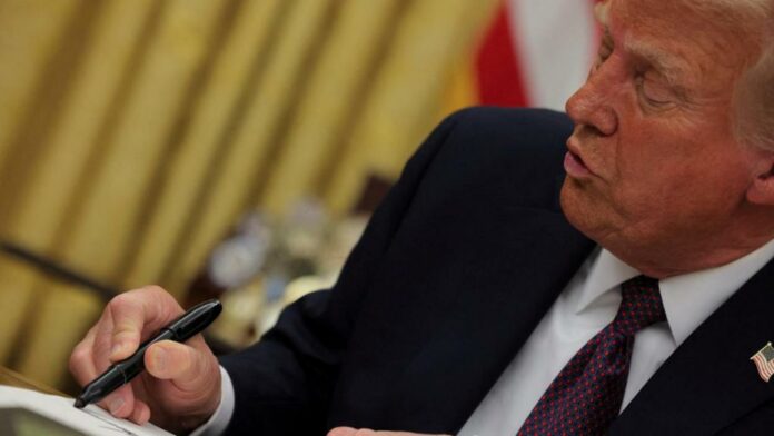Trump telif hakları