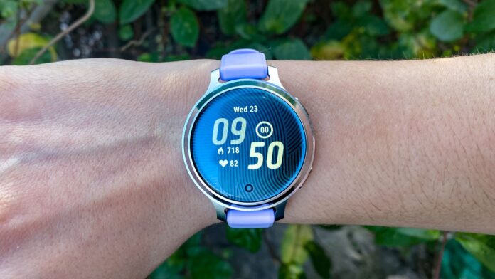 Garmin Google Haritalar