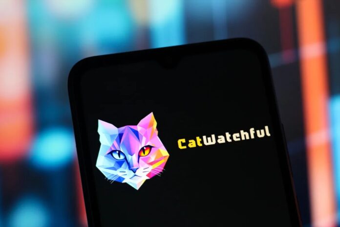 Google casus yazılımı