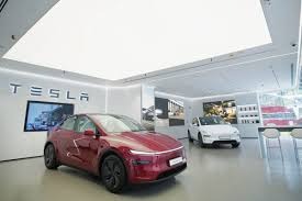 Tesla Hindistan pazarında