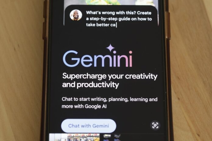 Gemini devlet kurumları