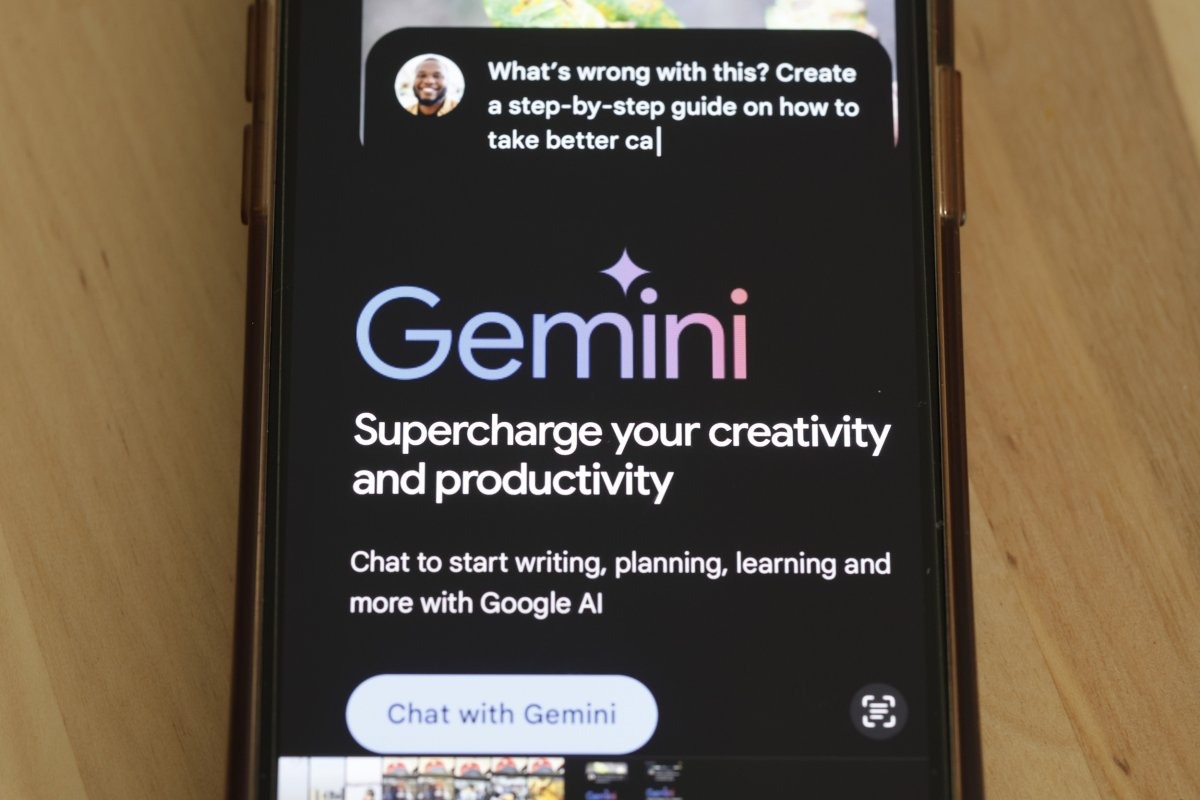 Gemini devlet kurumları için farklı bir versiyon sunuyor