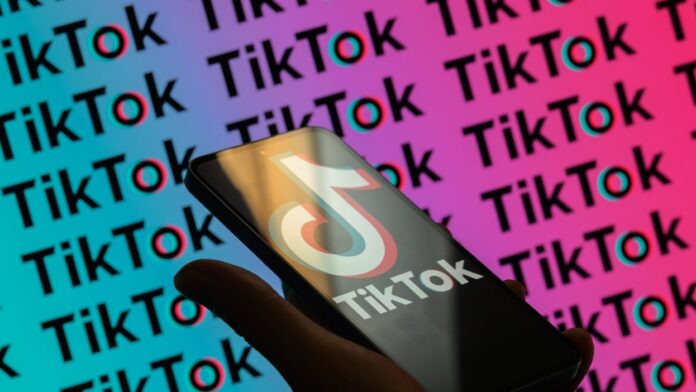 TikTok sesli not