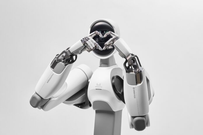 WIRobotics insansı robot