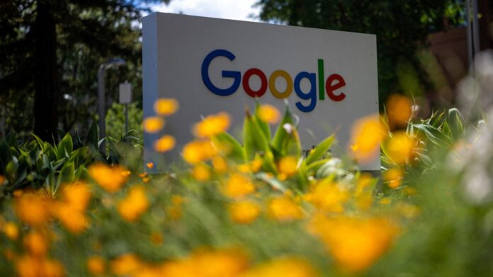 Google arama verileri