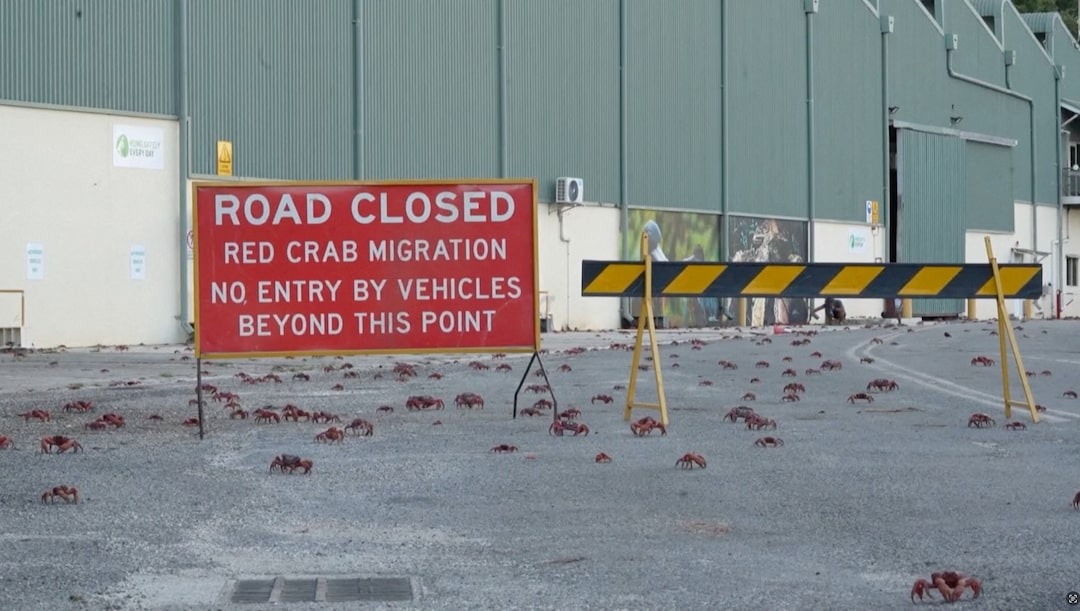 Google karakolda veri merkezi planlıyor