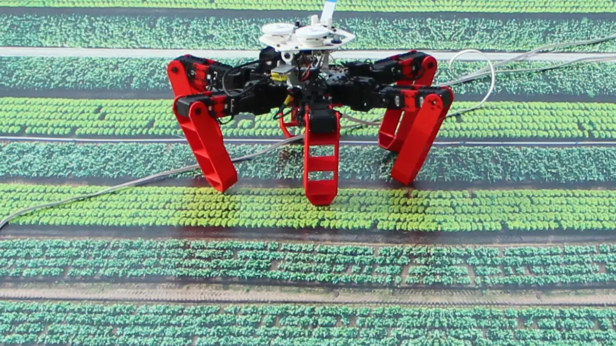 Robotlar GPS olmadan gezinme içiin hayvanlardan ilham alıyor