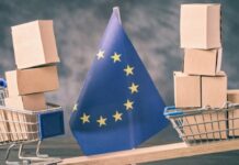 Avrupa girişim piyasası