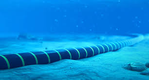 Google Pasifik bölgesinde denizaltı kablosu inşa edecek