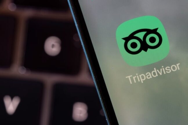 Tripadvisor yönetim kurulu