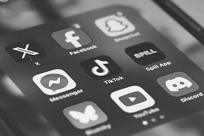 Endonezya sosyal medya