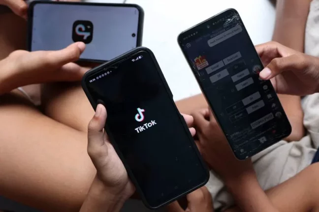 Endonezya sosyal medya