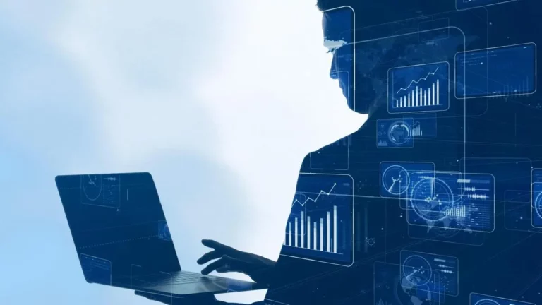 Hintli bilişim şirketleri