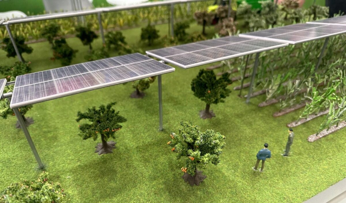 İsviçre güneş enerjisi için 40 GW’lık kapasite planlıyor