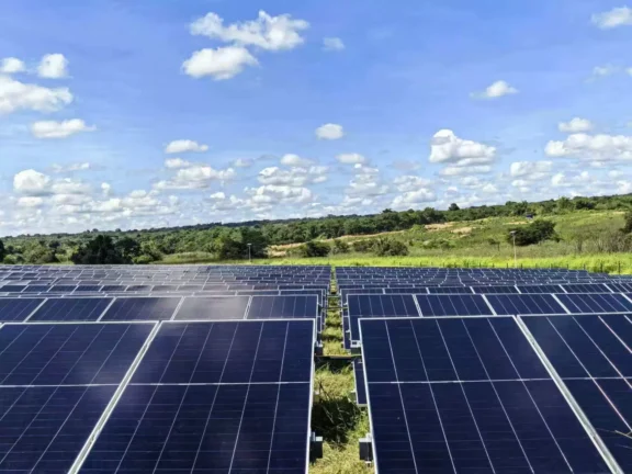 Longi güneş hücreleri