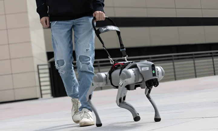 Robot köpek yapay zeka