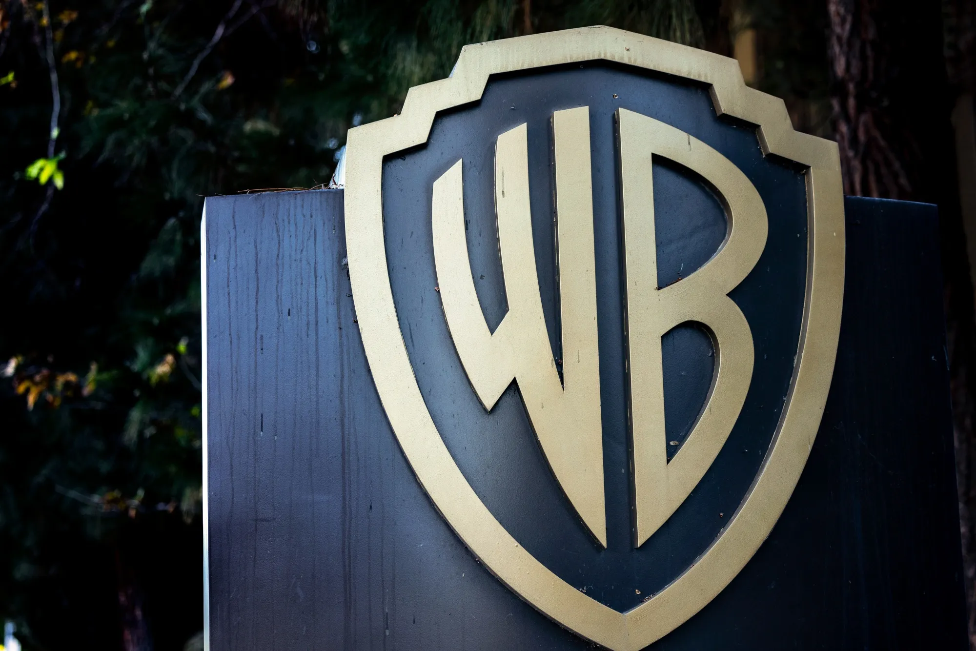 Warner Bros hissedarları oy kullanımı için bekliyor