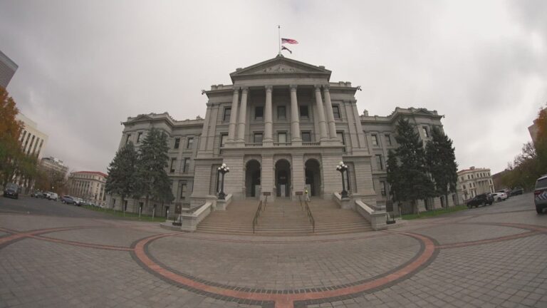 xAI yapay zeka yasası