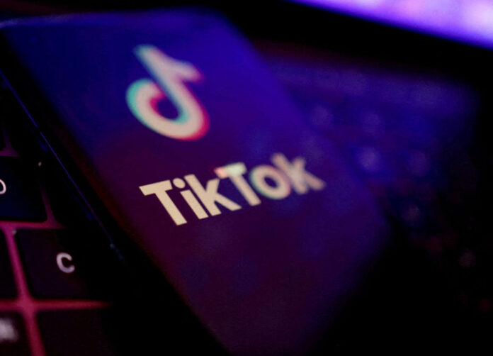 TikTok kullanıcı veri koruması