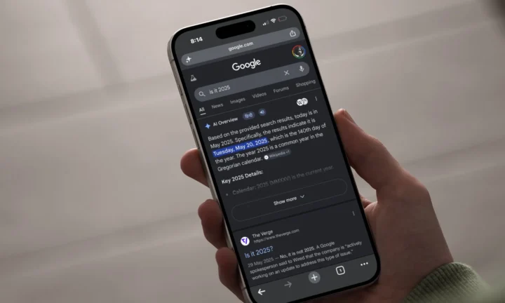Google Yapay Zeka Genel Bakışları