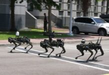 Tayvan robot devriye köpekleri