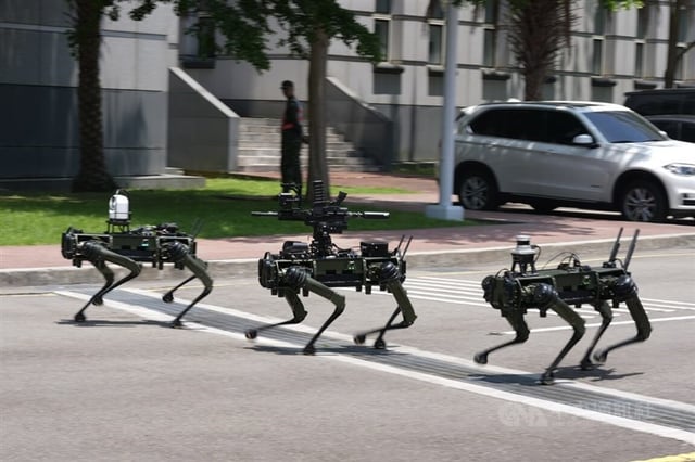 Tayvan robot devriye köpekleri